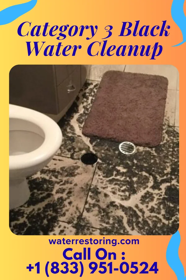 Category 3 Black Water Cleanup in Evans City, PA