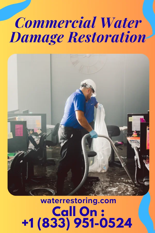 Commercial Water Damage Restoration in Evans City, PA