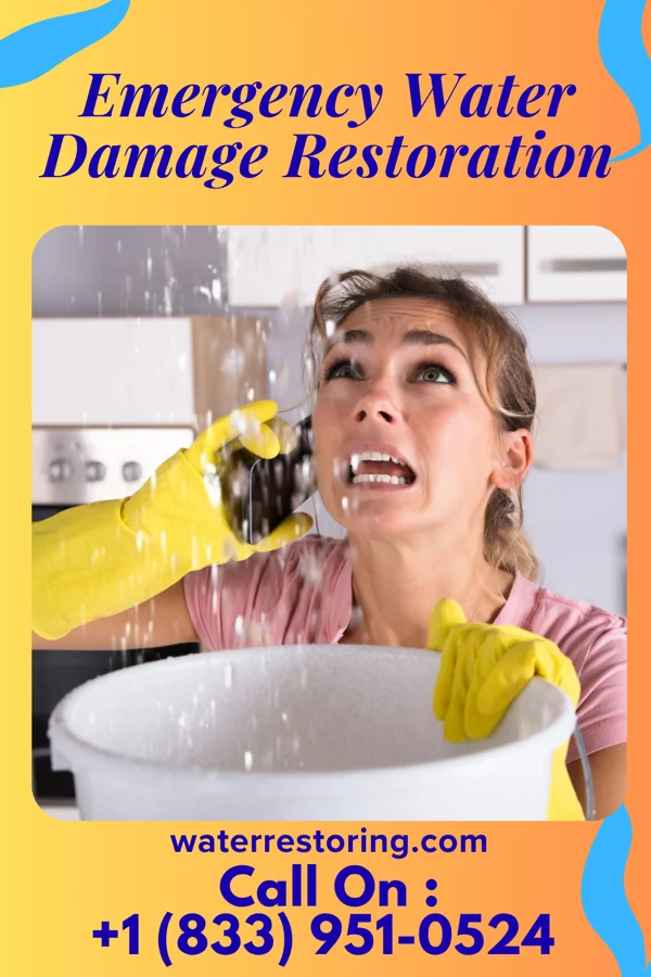 Emergency Water Damage Restoration in Evans City, PA