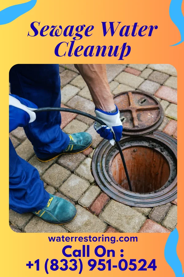 Sewage Water Cleanup in Evans City, PA