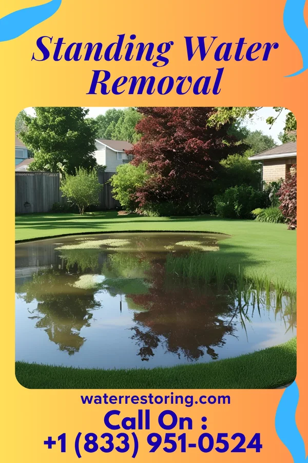 Standing Water Removal in Evans City, PA